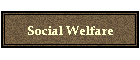 Social Welfare