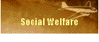 Social Welfare