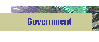 Government